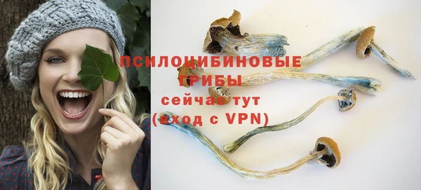 мет Новозыбков