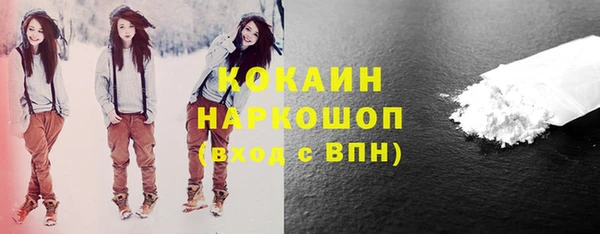 мет Новозыбков