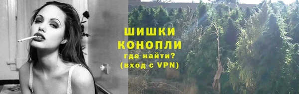 мет Новозыбков