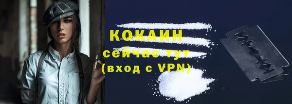 мет Новозыбков