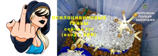 дживик Фурманов