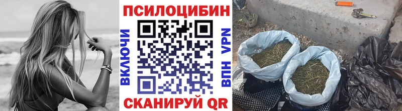 Псилоцибиновые грибы Magic Shrooms  как найти закладки  кракен маркетплейс  Туринск 